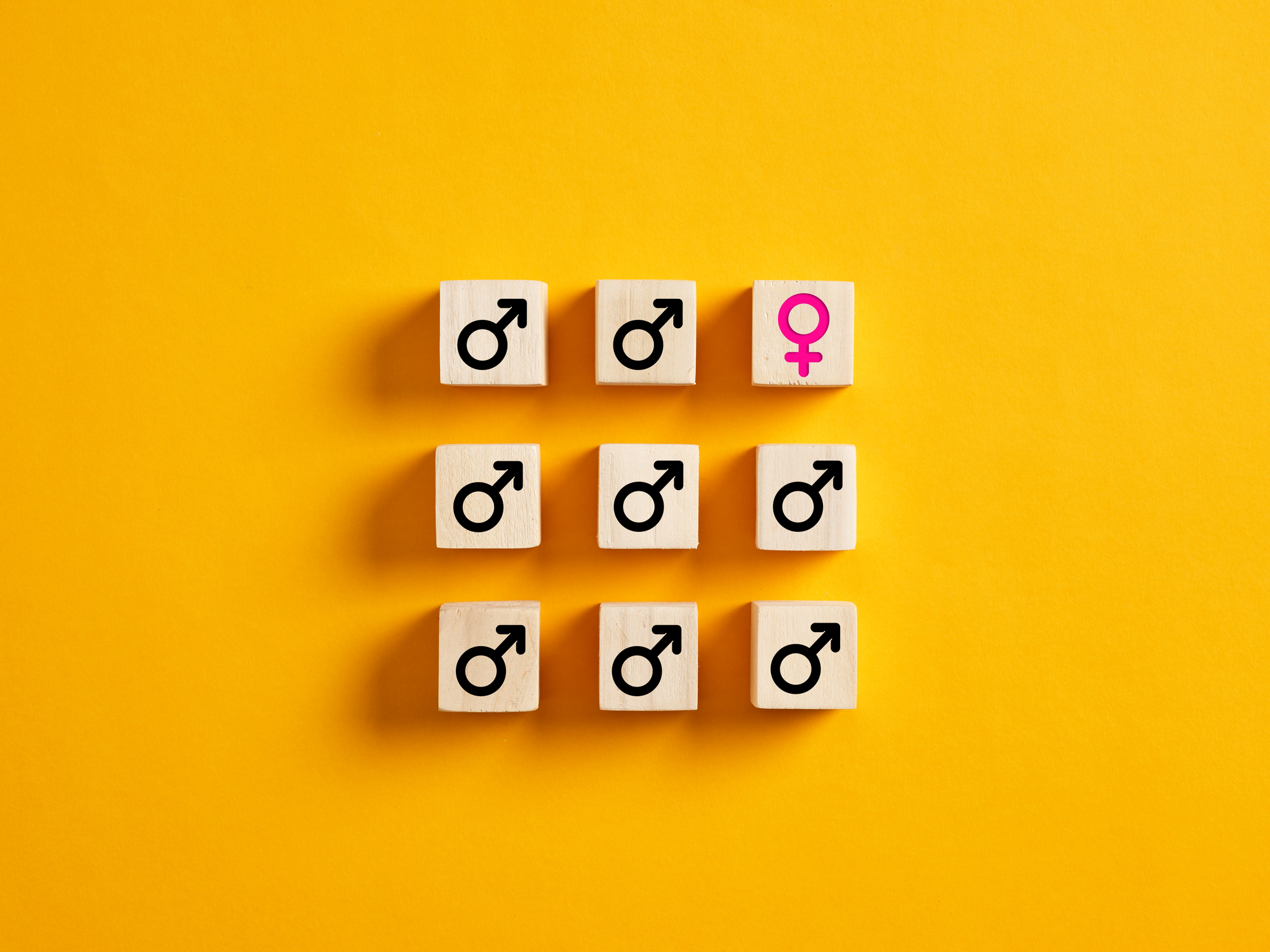Define The Gender Gap